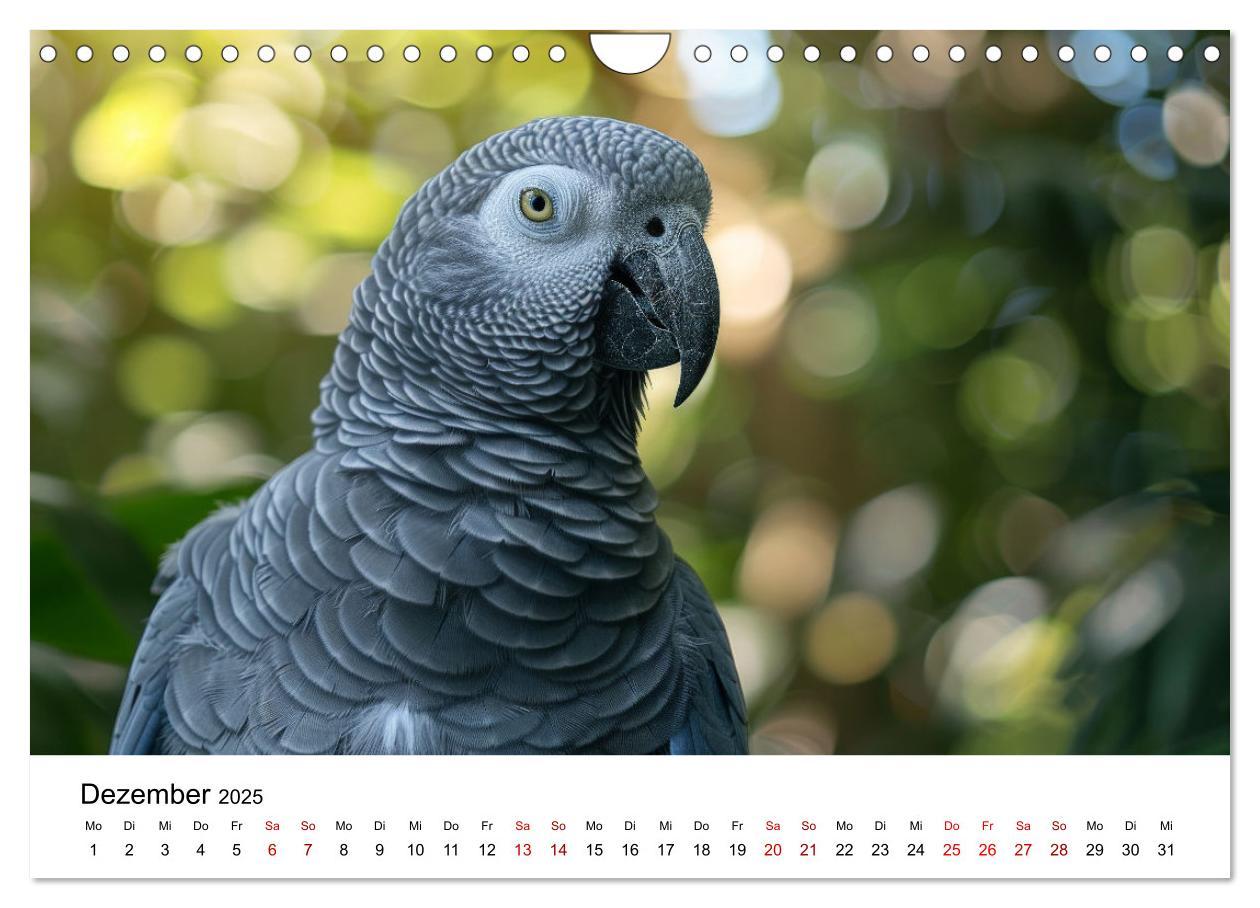 Bild: 9783383795046 | Papageien - Farbenfrohe Paradiesvögel (Wandkalender 2025 DIN A4...