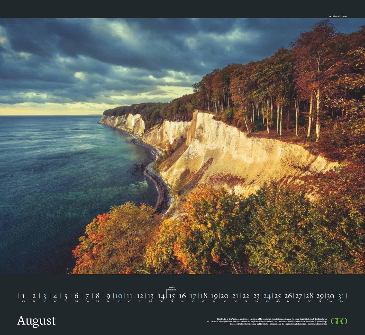 Bild: 4002725988683 | GEO Kalender: Sehnsucht Wald 2025 - Wand-Kalender - Natur-Kalender...