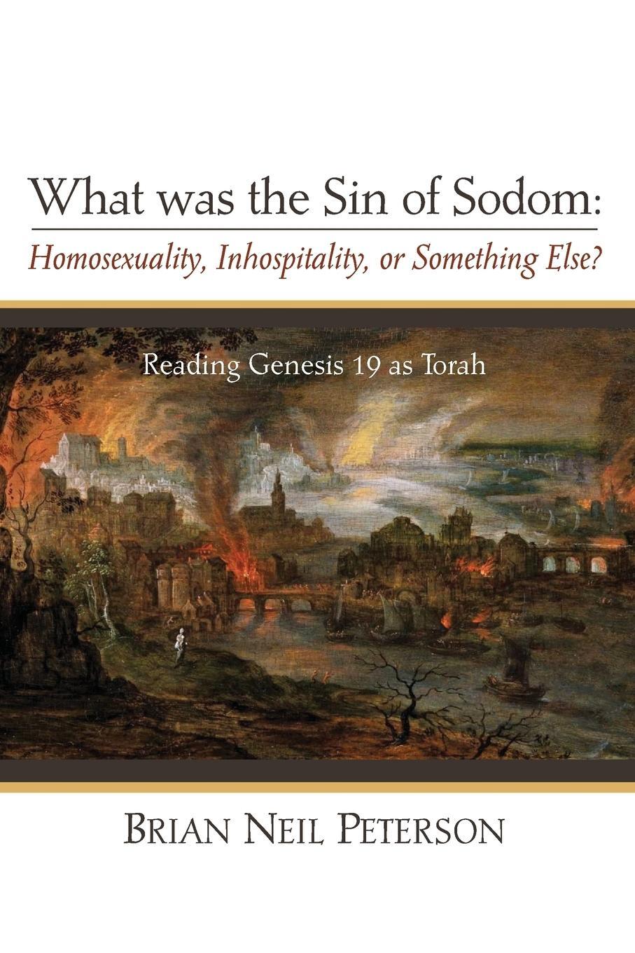 Cover: 9781498291828 | What was the Sin of Sodom | Brian Neil Peterson | Taschenbuch | 2016