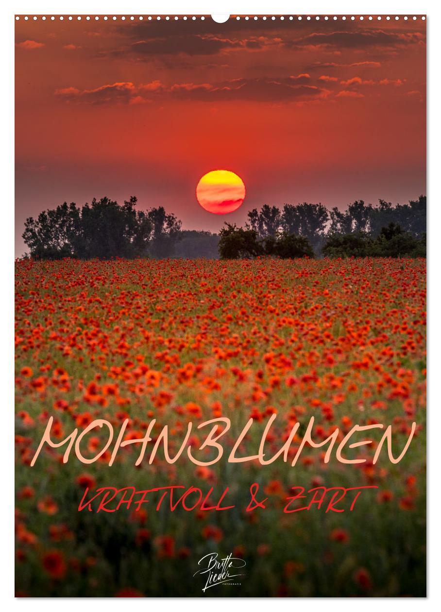 Cover: 9783435919758 | Mohnblumen - kraftvoll und zart (Wandkalender 2025 DIN A2 hoch),...