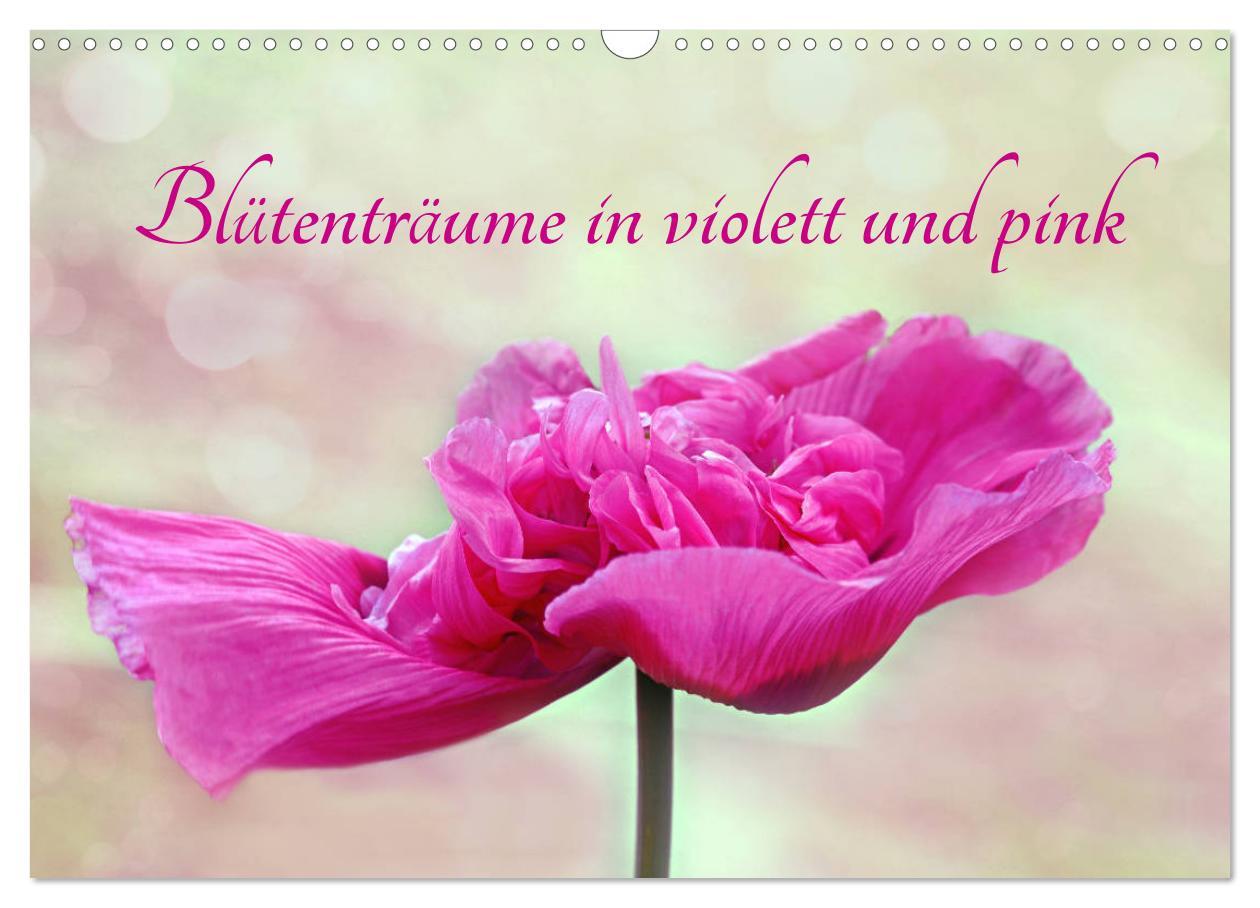 Cover: 9783435212743 | Blütenträume in violett und pink (Wandkalender 2025 DIN A3 quer),...