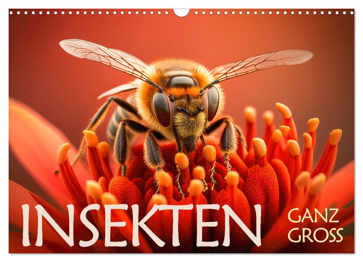 Cover: 9783383913082 | Insekten ganz gross (Wandkalender 2025 DIN A3 quer), CALVENDO...