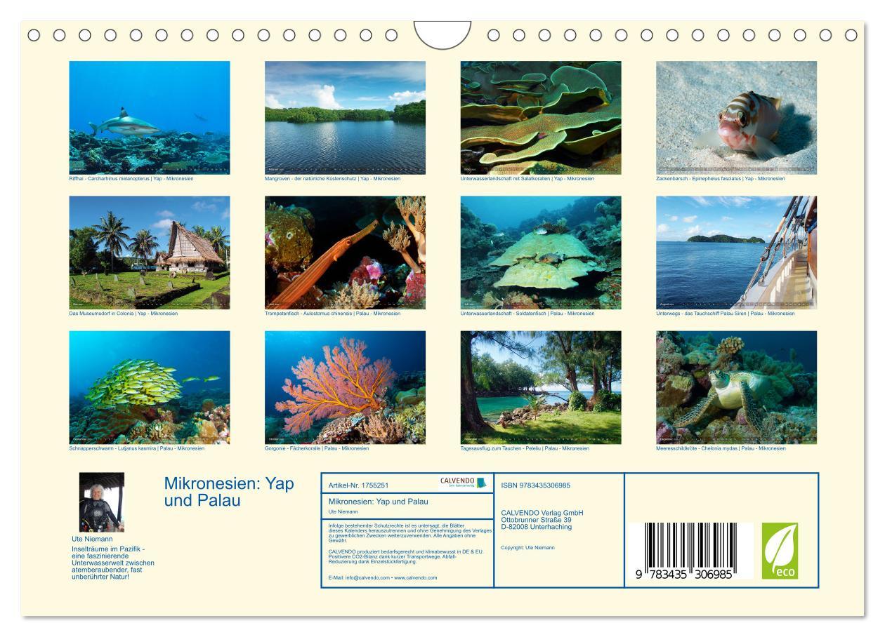 Bild: 9783435306985 | Mikronesien: Yap und Palau (Wandkalender 2025 DIN A4 quer),...