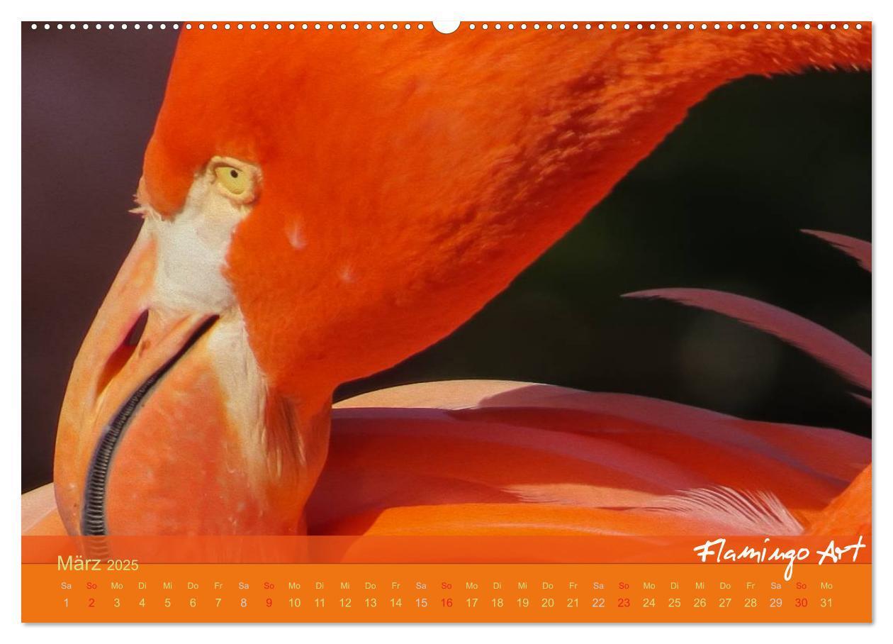 Bild: 9783435818822 | Flamingo Art 2025 (Wandkalender 2025 DIN A2 quer), CALVENDO...