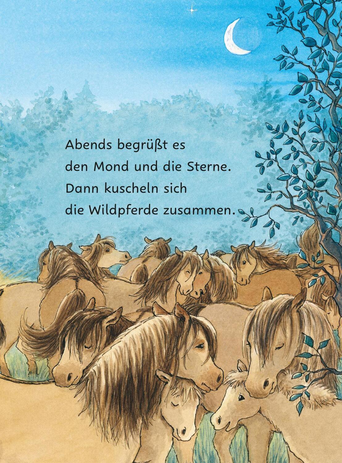 Bild: 9783551690838 | Ponyherz und Herr Franz: Die geklaute Wurst | Usch Luhn | Buch | 64 S.