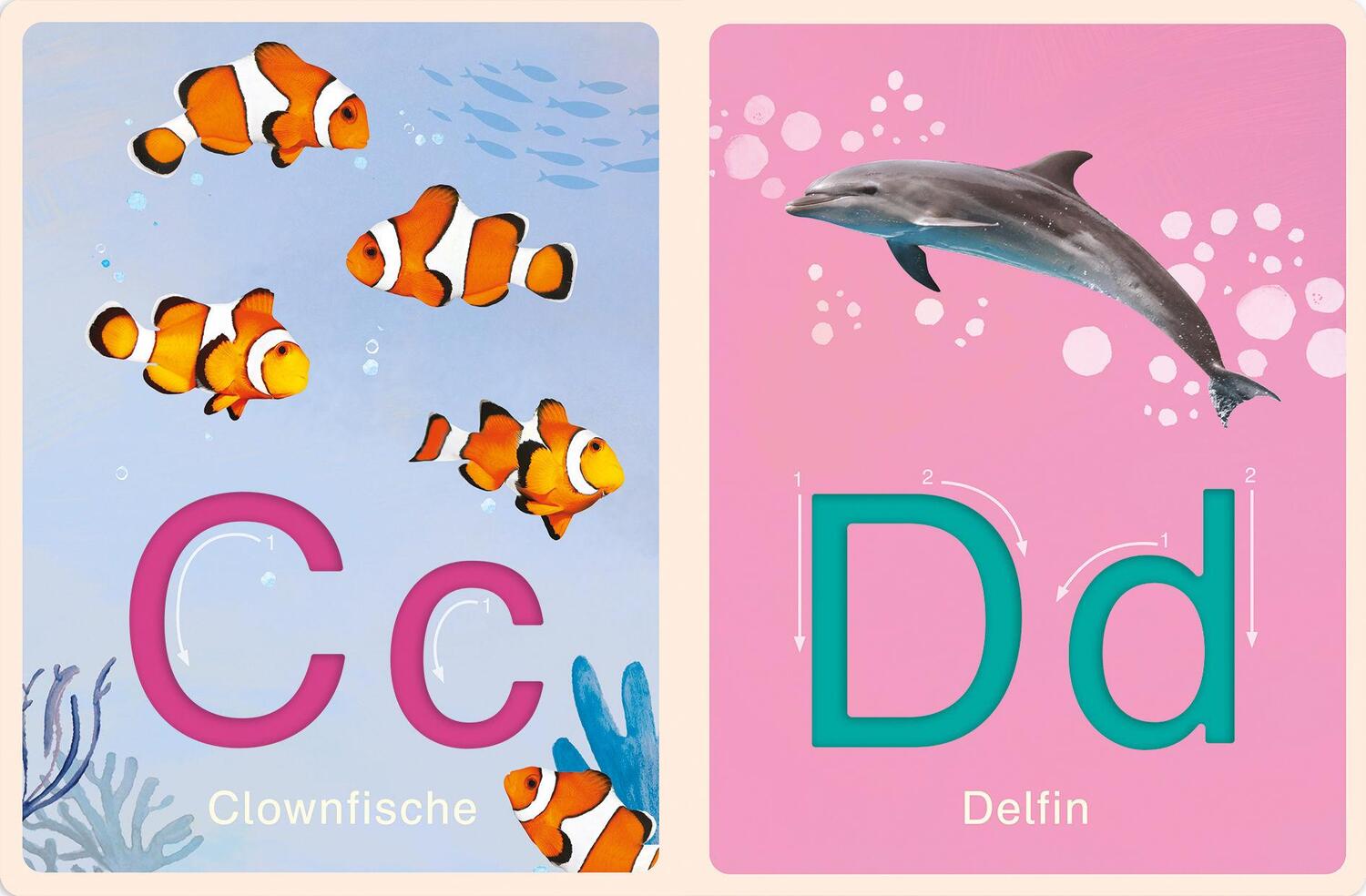 Bild: 9783328300212 | Deine-meine-unsere Welt - Mein Abc der Natur | Nicola Edwards | Buch