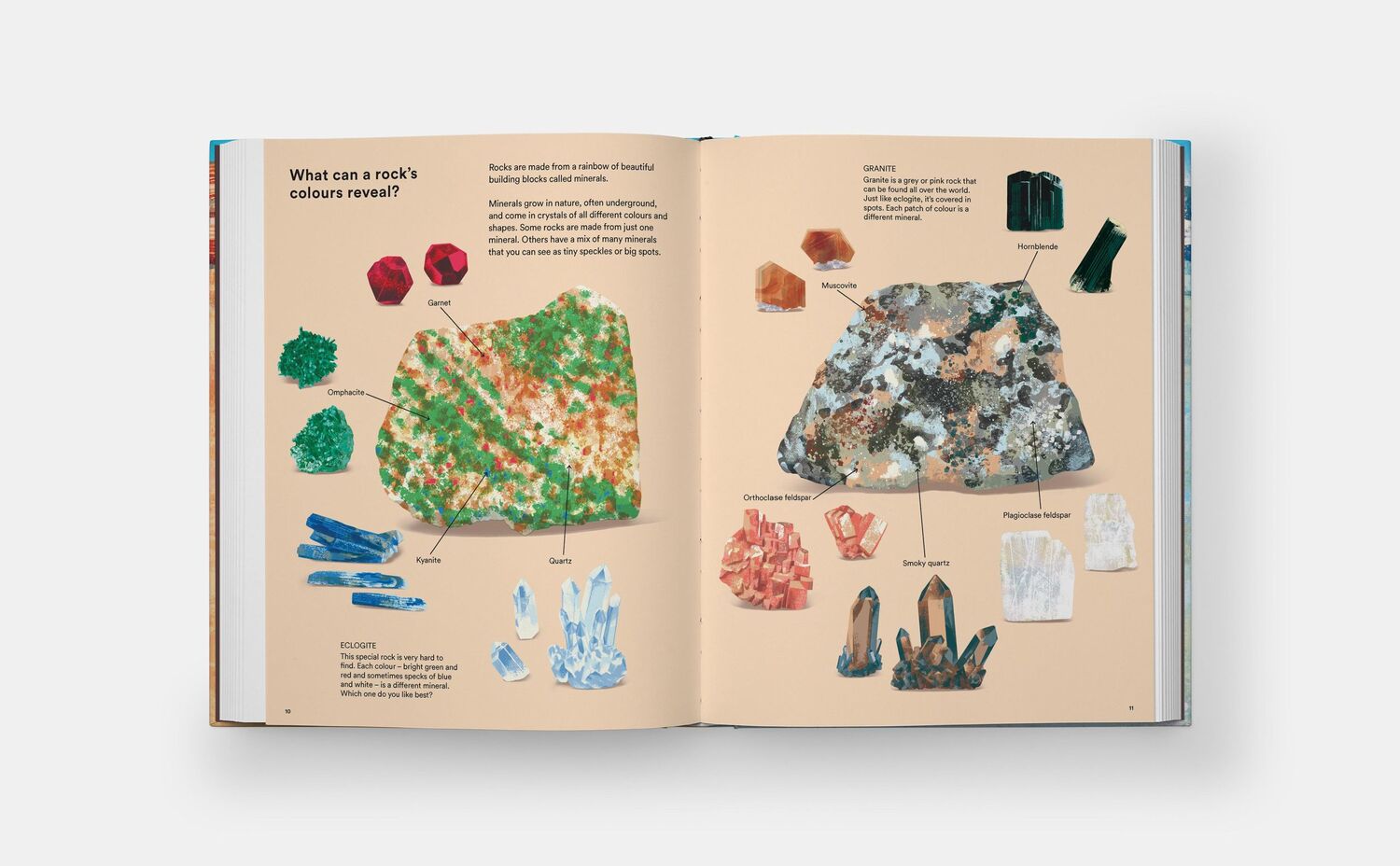 Bild: 9781838667894 | What a Rock Can Reveal | Maya Wei-Haas (u. a.) | Buch | Phaidon Press