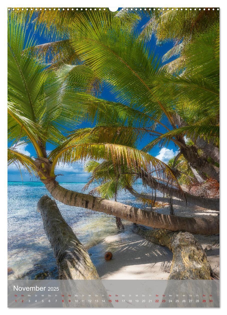 Bild: 9783435915682 | Karibischer Traum Isla Saona (Wandkalender 2025 DIN A2 hoch),...