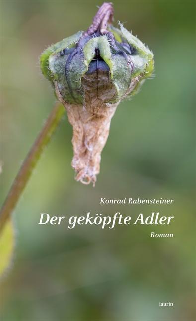 Cover: 9783902866615 | Der geköpfte Adler | Roman | Konrad Rabensteiner | Buch | 384 S.