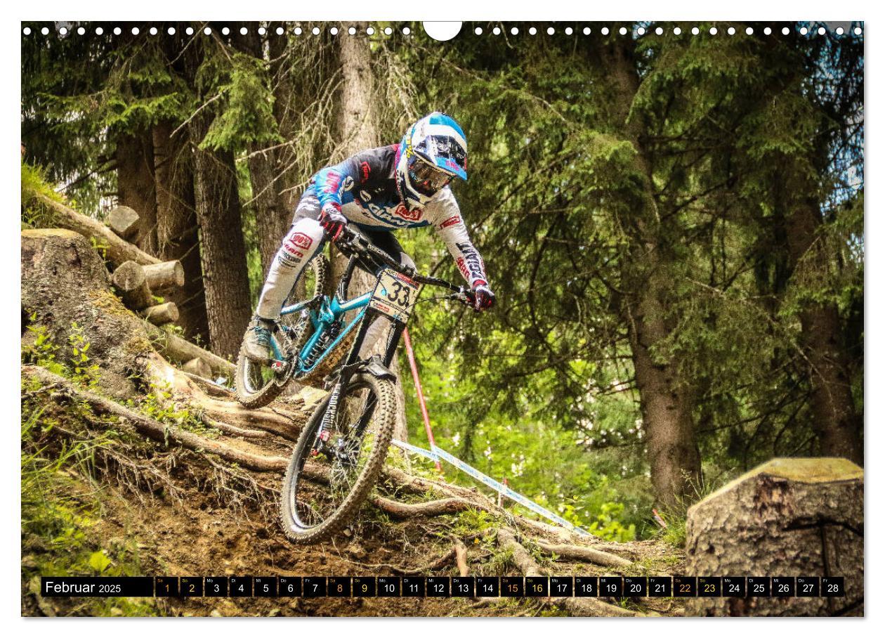 Bild: 9783435367115 | Downhill Racing (Wandkalender 2025 DIN A3 quer), CALVENDO...