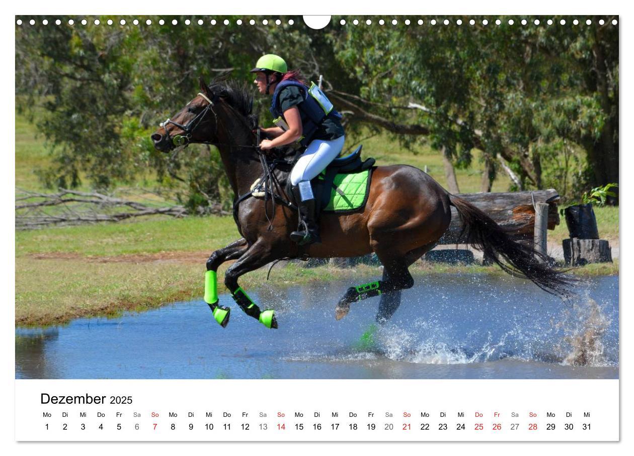 Bild: 9783435618057 | Vielseitigkeitsreiten (Wandkalender 2025 DIN A3 quer), CALVENDO...