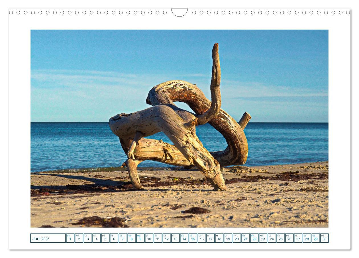 Bild: 9783457242162 | Der Weststrand am Darß (Wandkalender 2025 DIN A3 quer), CALVENDO...