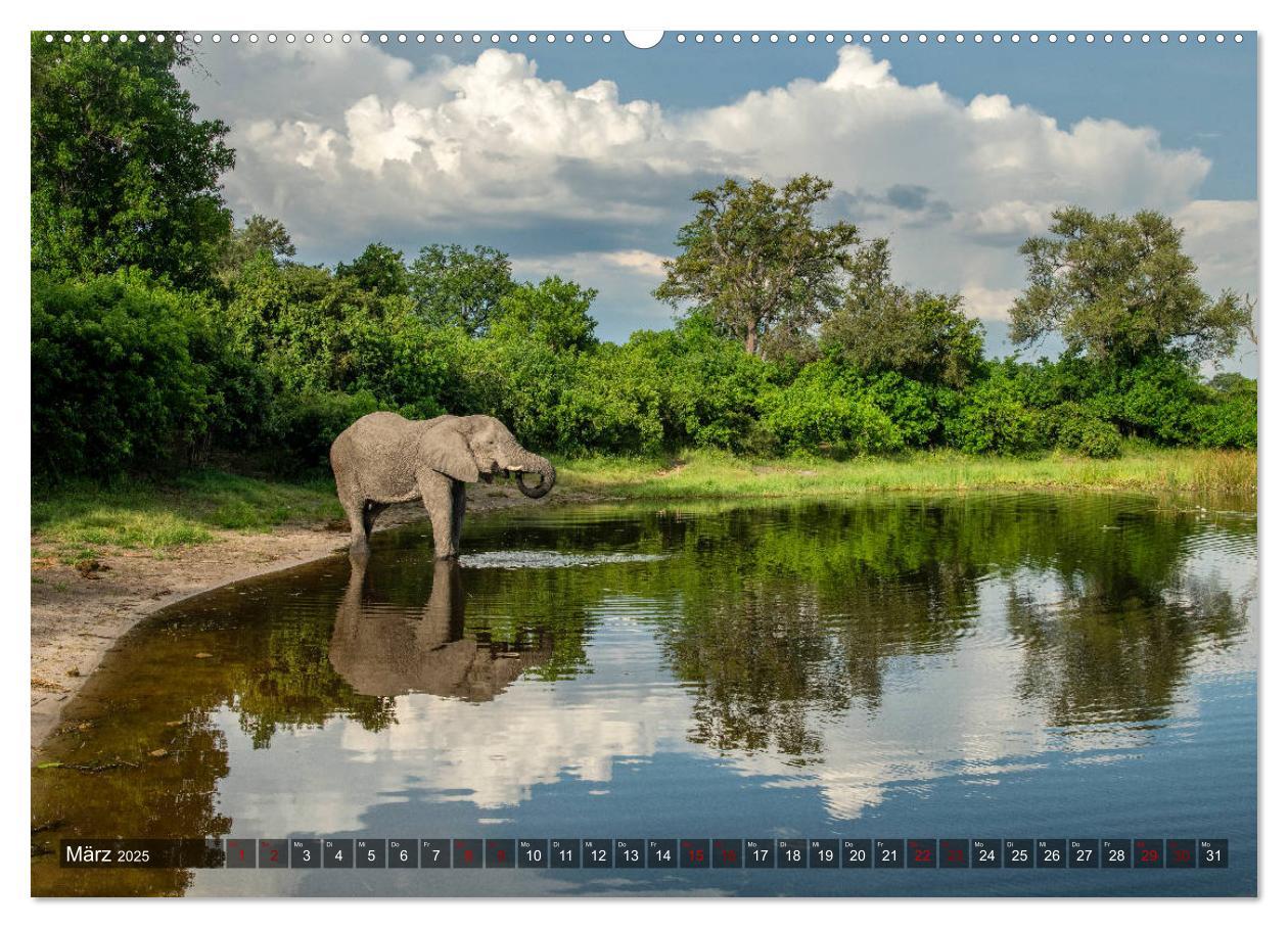 Bild: 9783435118694 | Afrikas Tierwelt, Safari im südlichen Afrika (Wandkalender 2025 DIN...