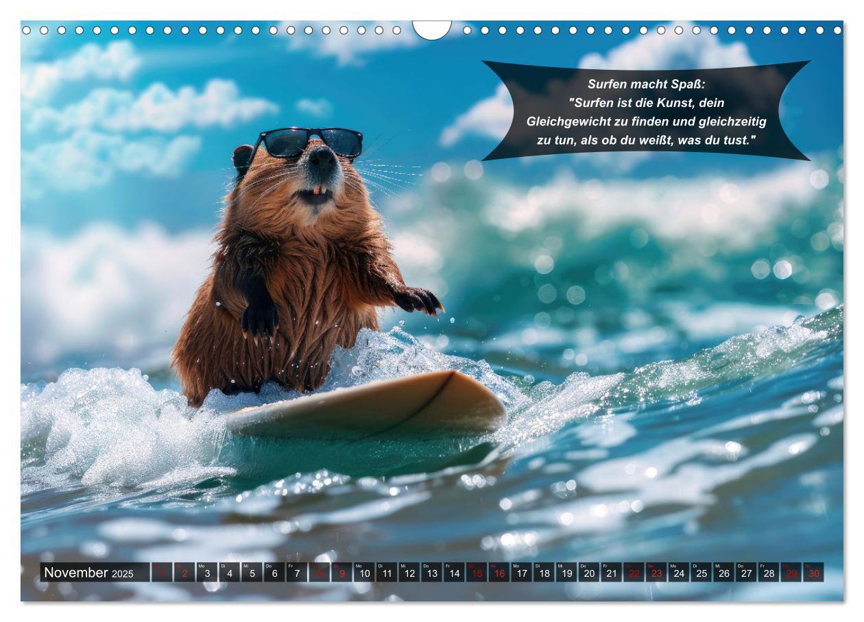 Bild: 9783457156063 | Der tierisch lustige Surfkalender (Wandkalender 2025 DIN A3 quer),...