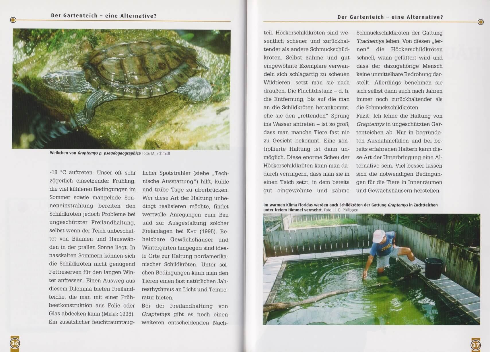 Bild: 9783937285887 | Falsche Landkarten-u.Missisippi-Höckerschildkröte | Elmar Meier | Buch