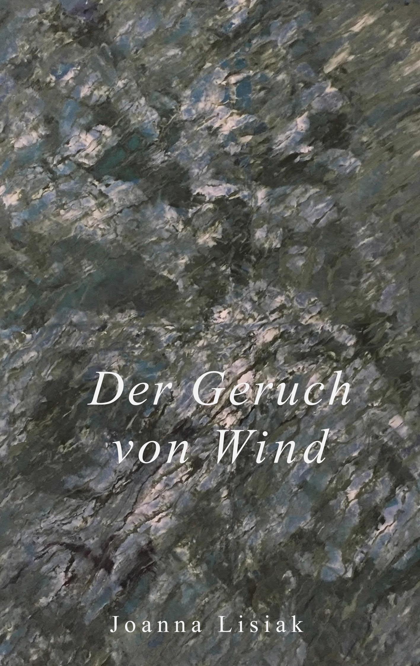 Cover: 9783749422463 | Der Geruch von Wind | Wörterbuch ohne Wörter | Joanna Lisiak | Buch