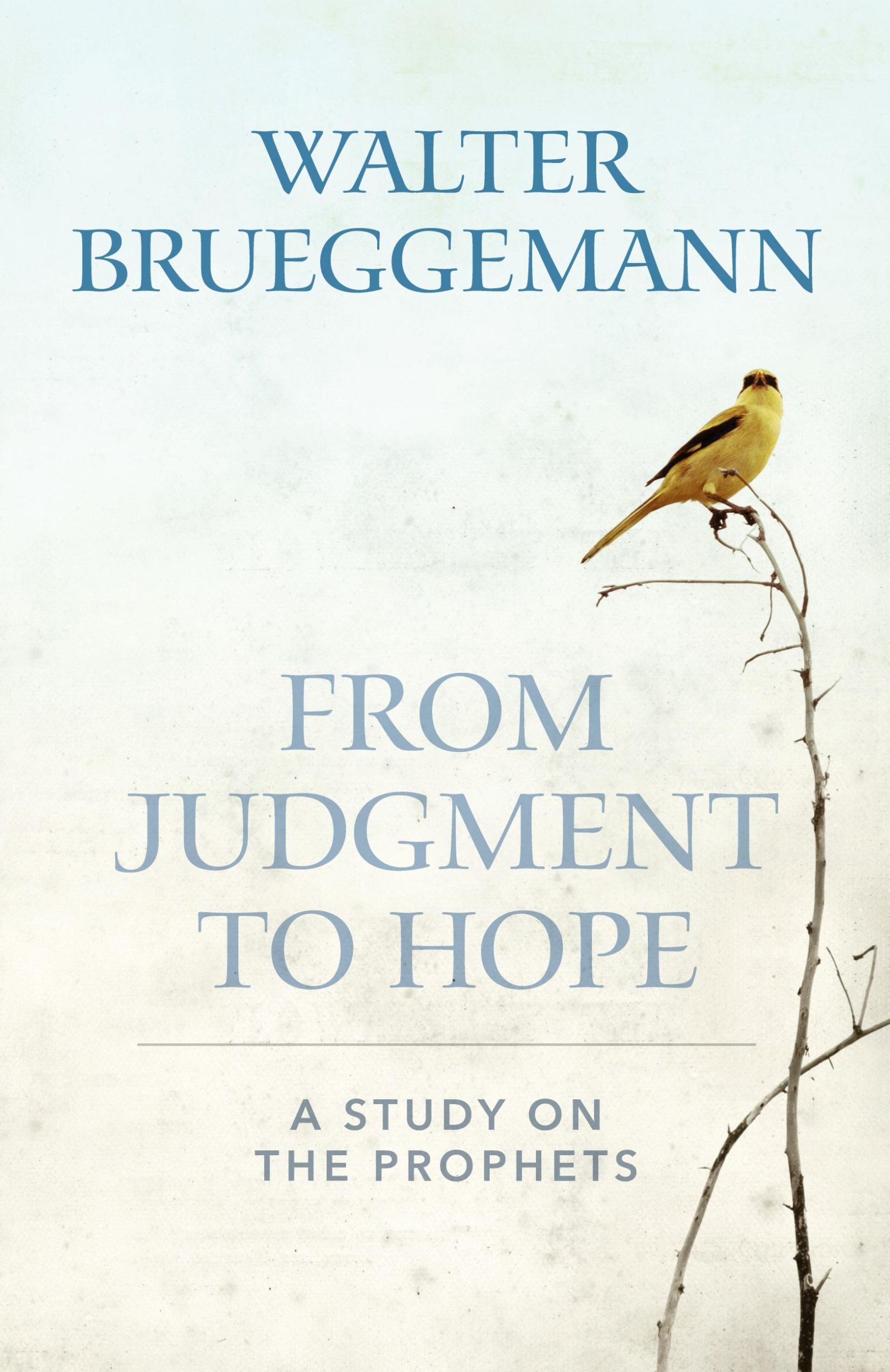 Cover: 9780664265519 | From Judgement to Hope | Walter Brueggemann | Taschenbuch | Englisch