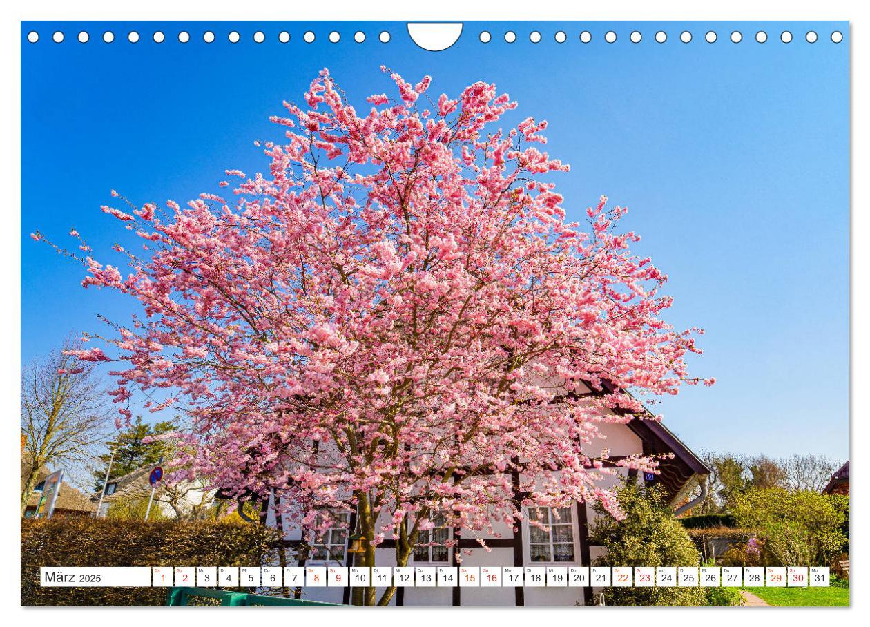 Bild: 9783435232277 | Wustrow Impressionen (Wandkalender 2025 DIN A4 quer), CALVENDO...