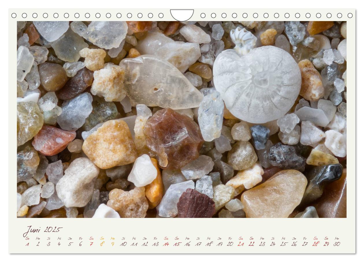 Bild: 9783435135479 | Abenteuer Mikrofotografie Sand (Wandkalender 2025 DIN A4 quer),...