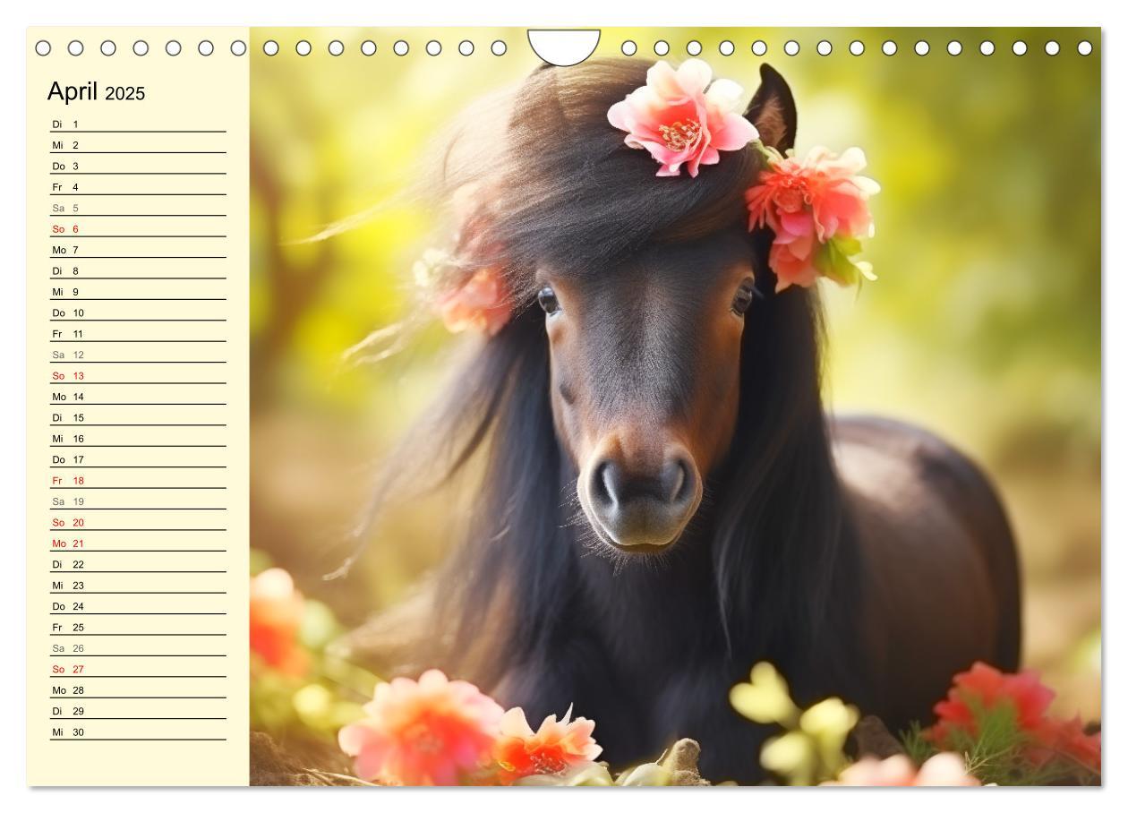 Bild: 9783435011605 | Kleine Pferde. Mini-Ponys zum verlieben (Wandkalender 2025 DIN A4...