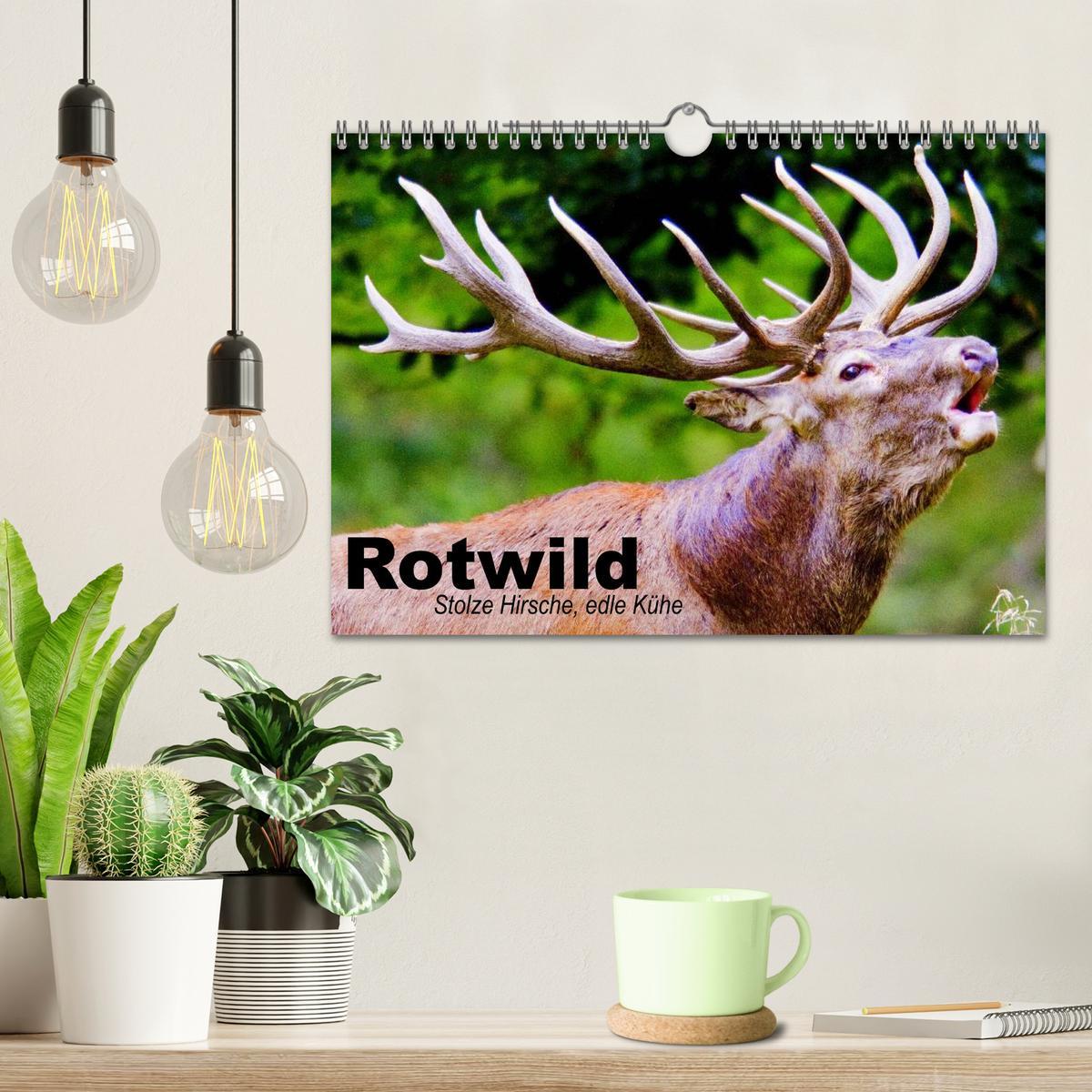 Bild: 9783435516292 | Rotwild. Edle Hirsche, stolze Kühe (Wandkalender 2025 DIN A4 quer),...