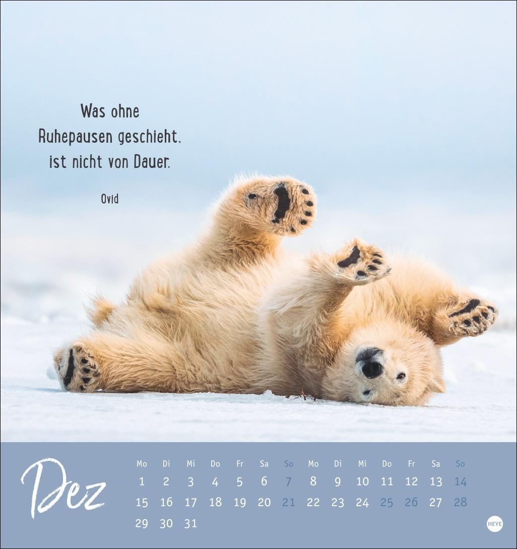 Bild: 9783756407132 | Never give up! Postkartenkalender 2025 | Heye | Kalender | 13 S.