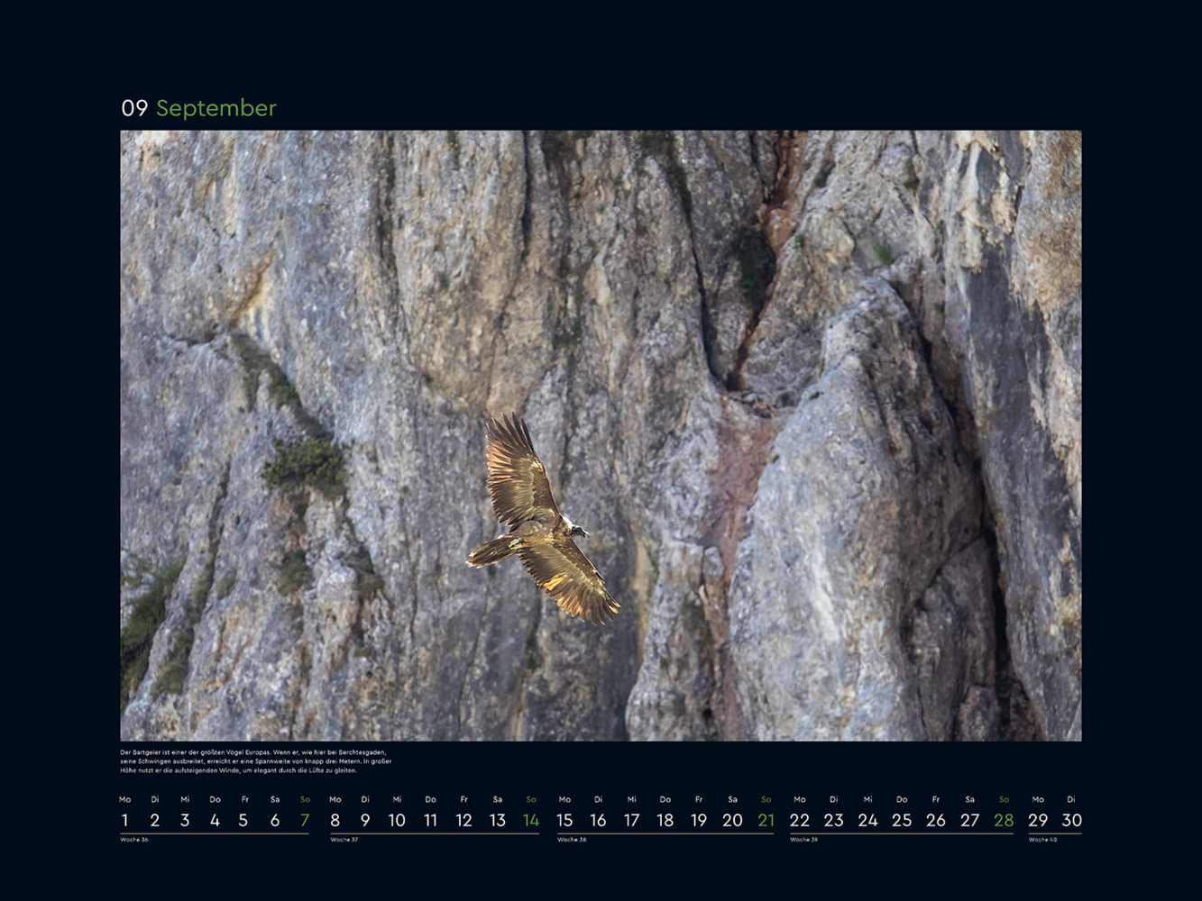 Bild: 9783965913653 | Wildnis Alpen - KUNTH Wandkalender 2025 | Kalender | 14 S. | Deutsch