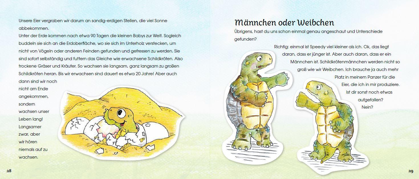 Bild: 9783944484235 | Griechische Landschildkröten | Ursula Halla (u. a.) | Buch | 39 S.