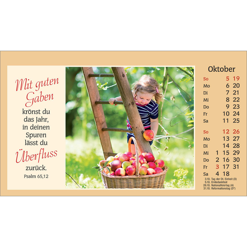 Bild: 9783754882054 | Der kleine Begleiter 2025 | Kalender | Spiralbindung. Spiralbindung