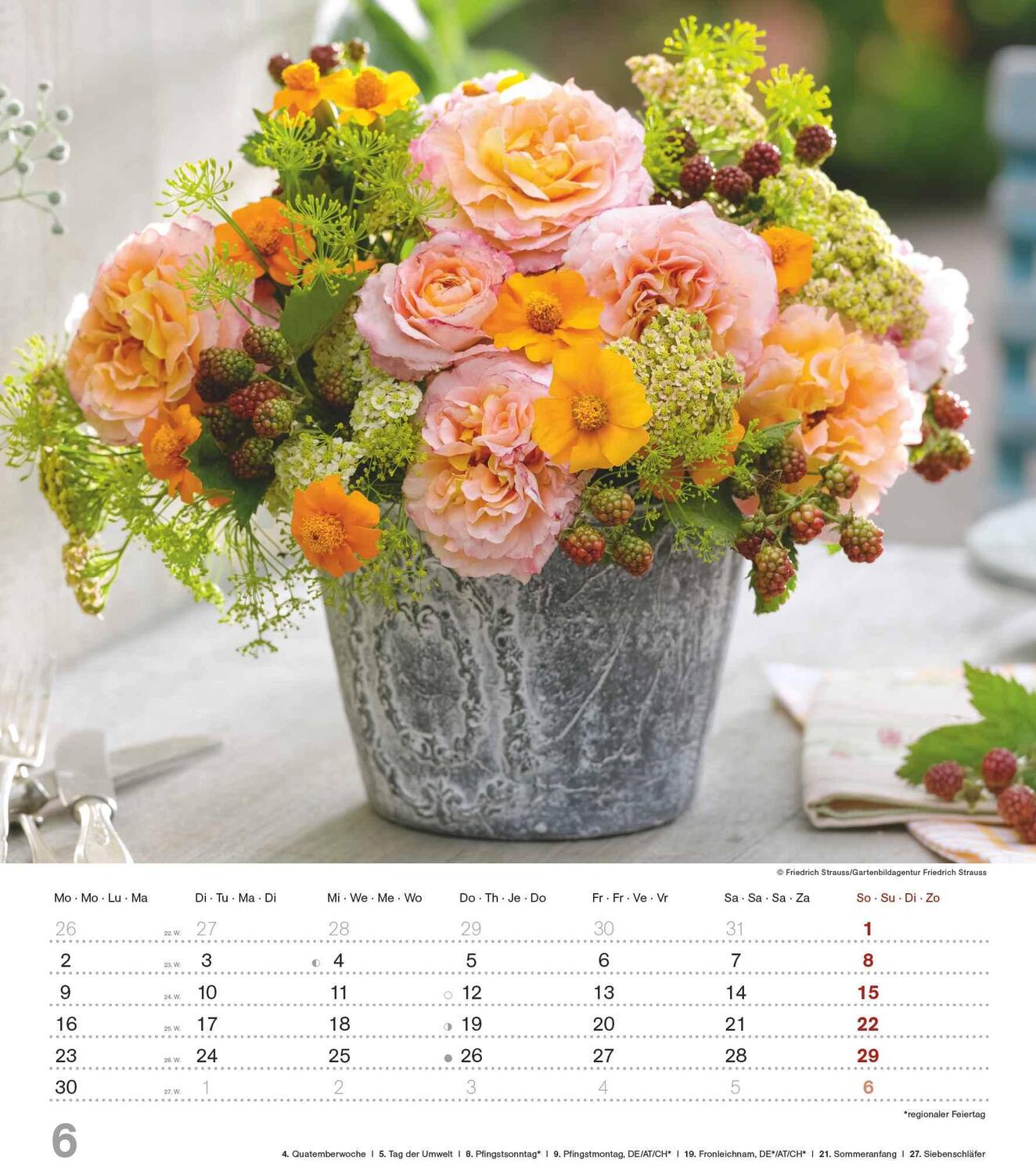 Bild: 4251732342135 | Der Duft der Rosen 2025 - Bildkalender 30x34 cm - Kalender mit wohl...