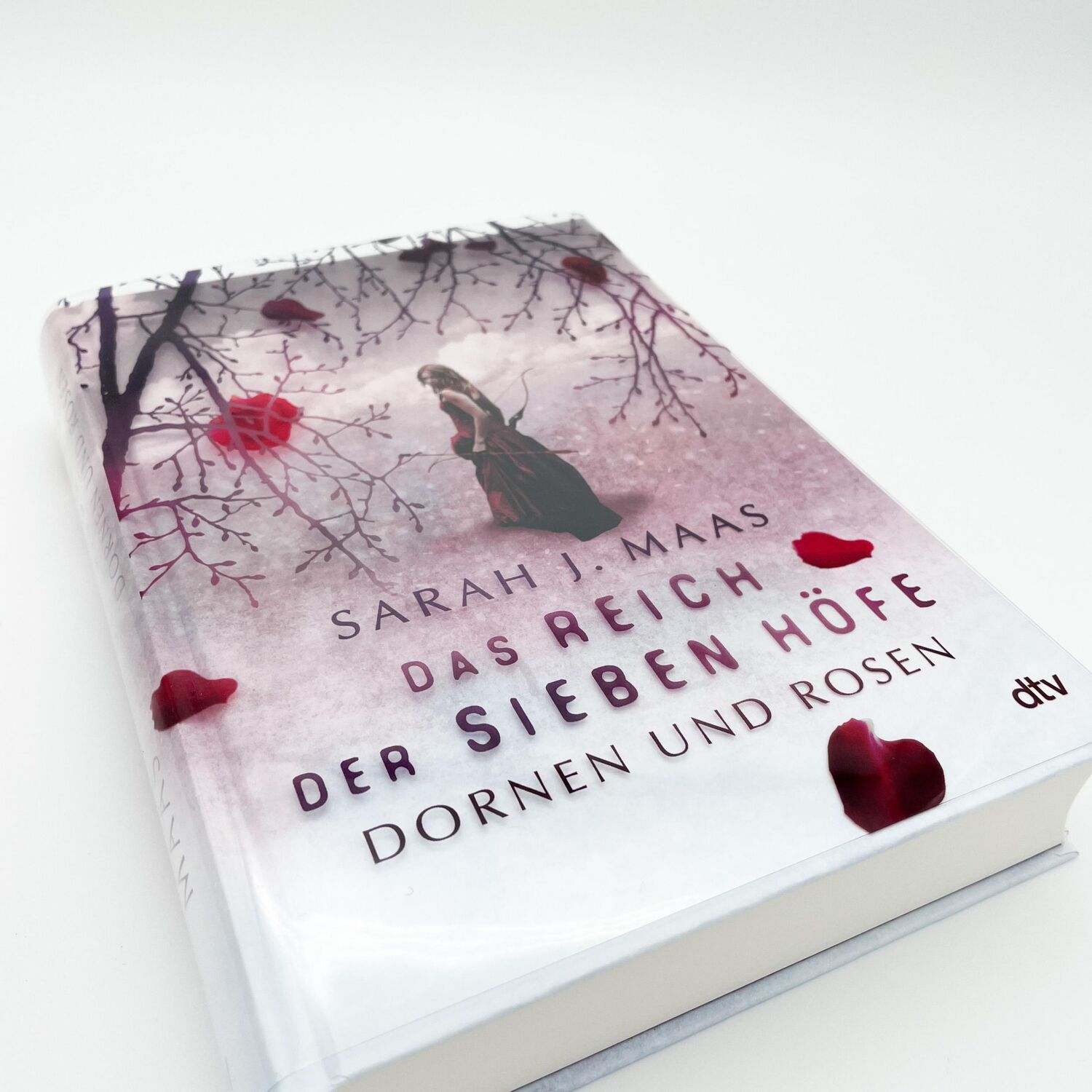 Bild: 9783423761635 | Das Reich der sieben Höfe 01 - Dornen und Rosen | Sarah J. Maas | Buch