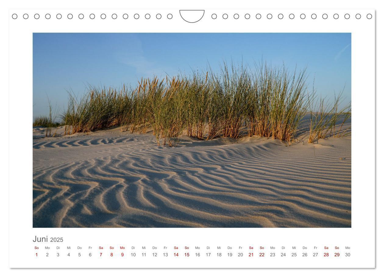 Bild: 9783457217771 | Juist Lieblingsinsel (Wandkalender 2025 DIN A4 quer), CALVENDO...