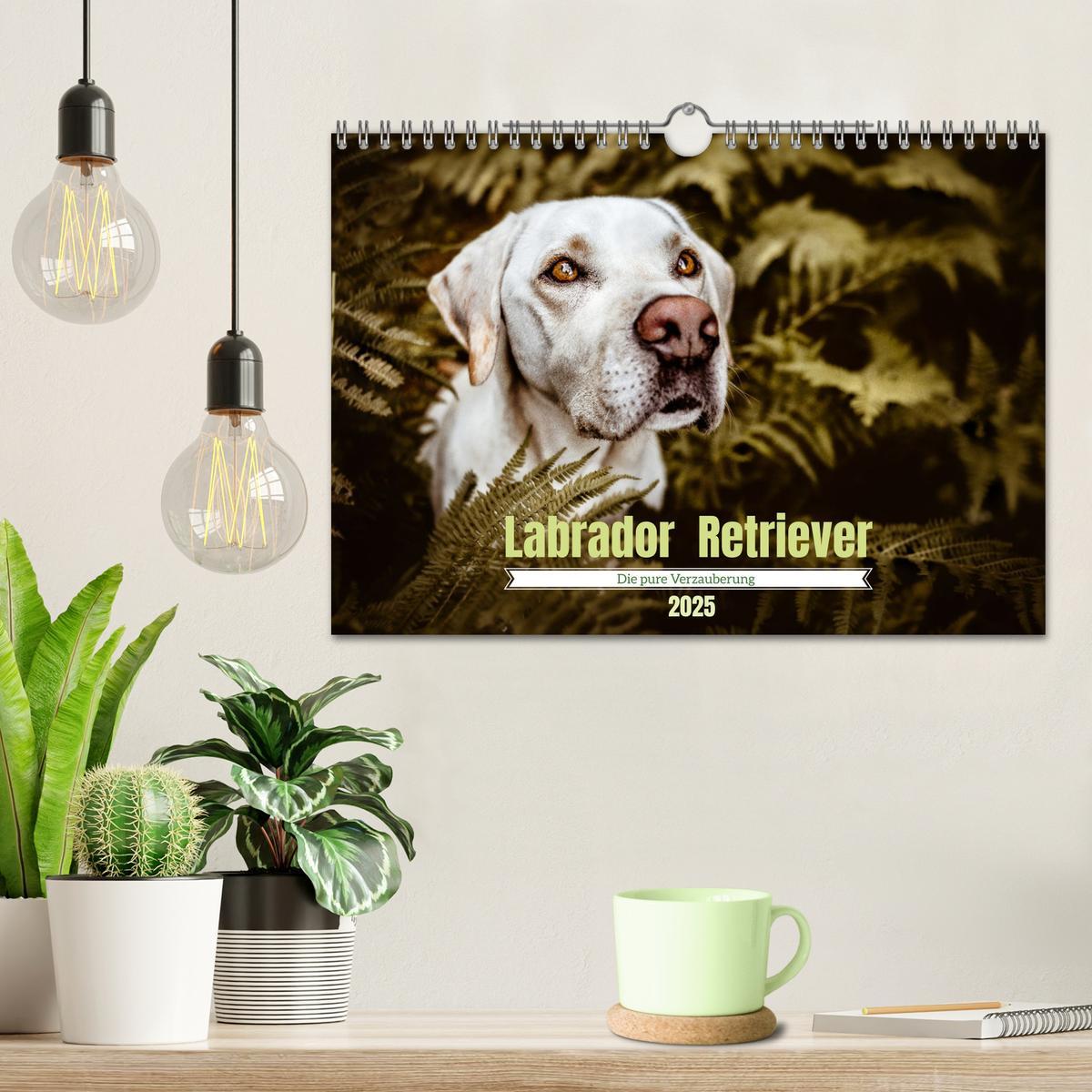 Bild: 9783435018796 | Verzauberung Labrador Retriever 2025 (Wandkalender 2025 DIN A4...