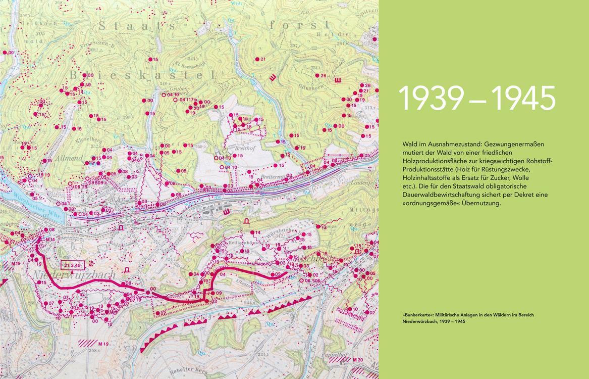 Bild: 9783956022425 | "Dich sah ich wachsen, Holz" | 100+1 Jahre Saar-Wald-Kultur | Buch