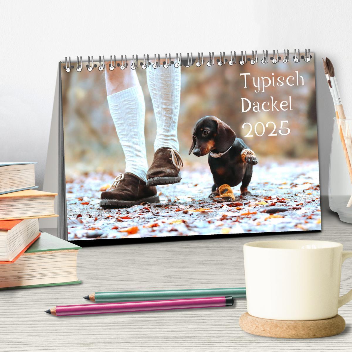 Bild: 9783435719006 | Typisch Dackel 2025 (Tischkalender 2025 DIN A5 quer), CALVENDO...