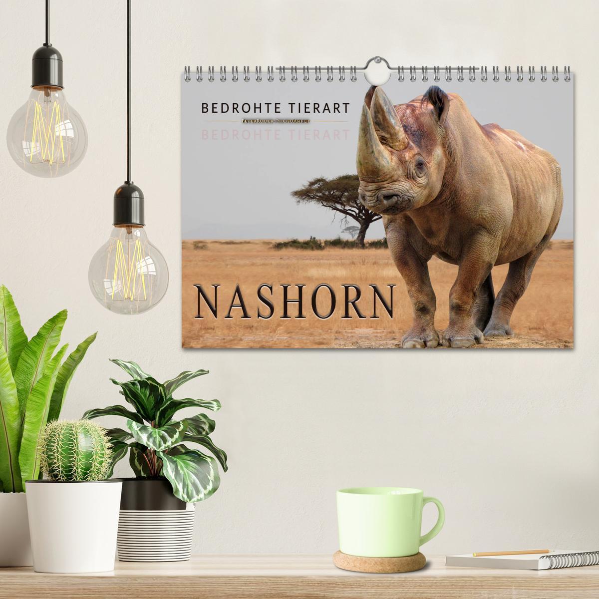 Bild: 9783435371204 | Bedrohte Tierart - Nashorn (Wandkalender 2025 DIN A4 quer),...