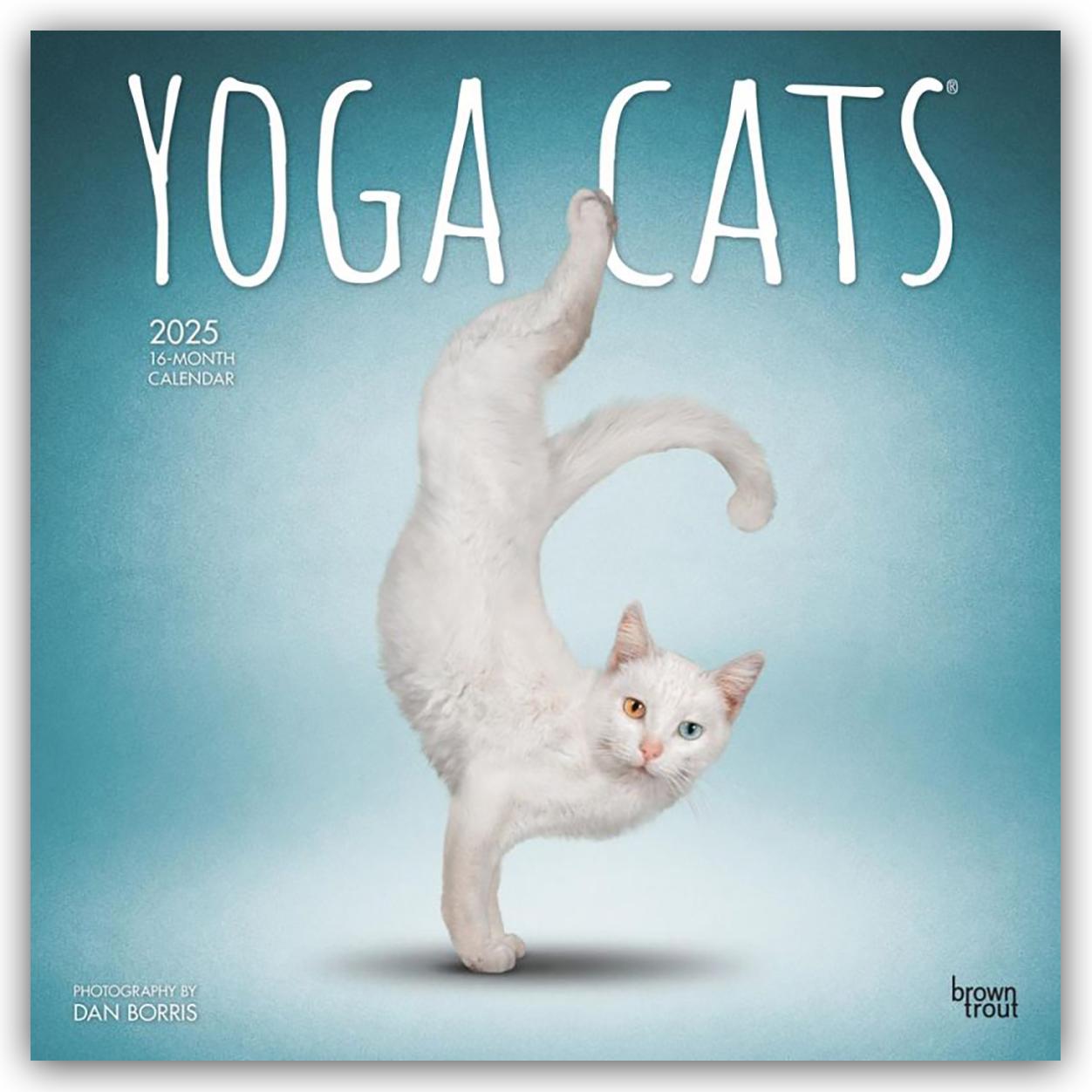 Cover: 9781975479862 | Yoga Cats Official 2025 12 X 24 Inch Monthly Square Wall Calendar...