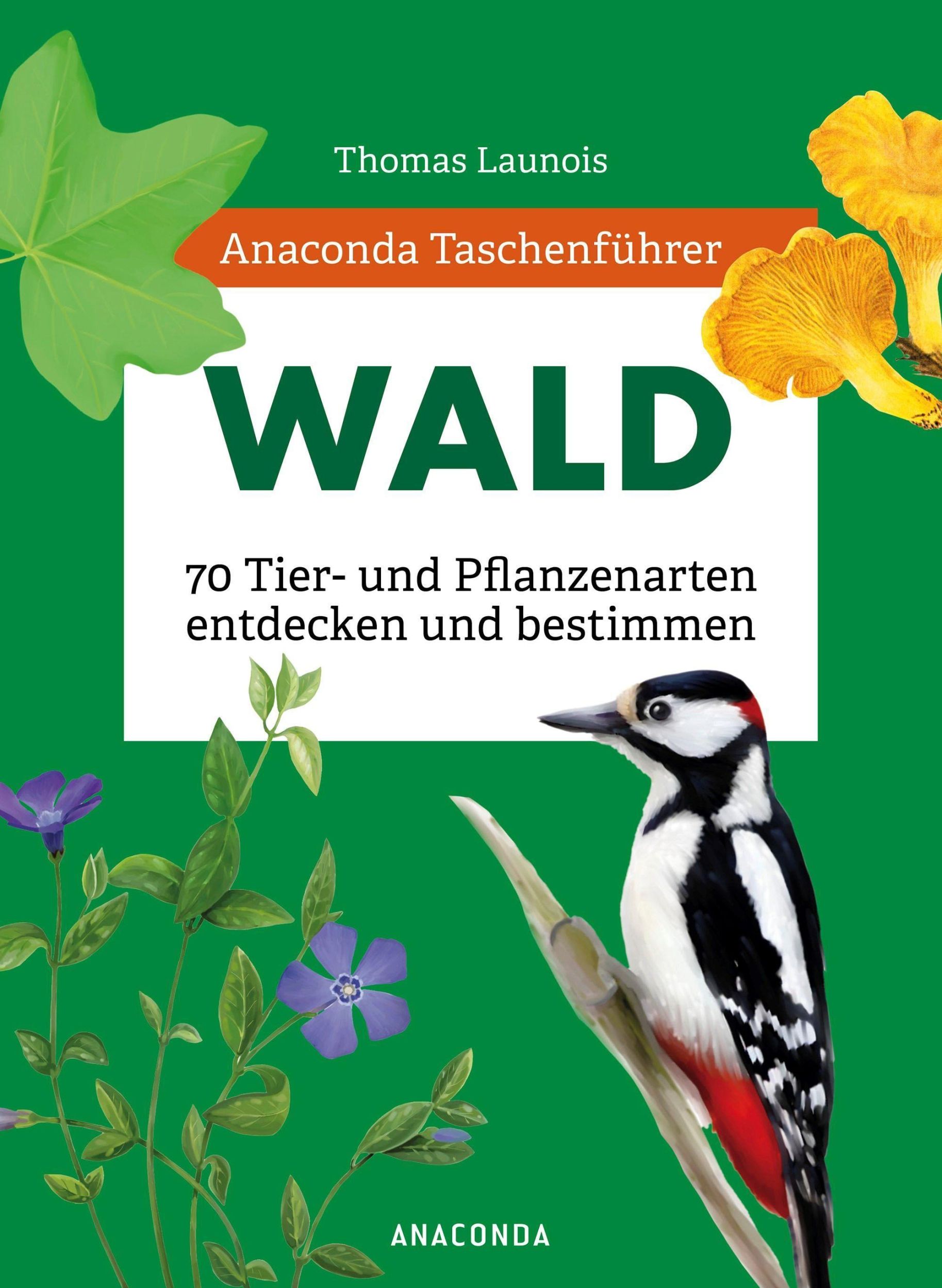 Cover: 9783730611760 | Anaconda Taschenführer Wald - 70 Tier- und Pflanzenarten entdecken...