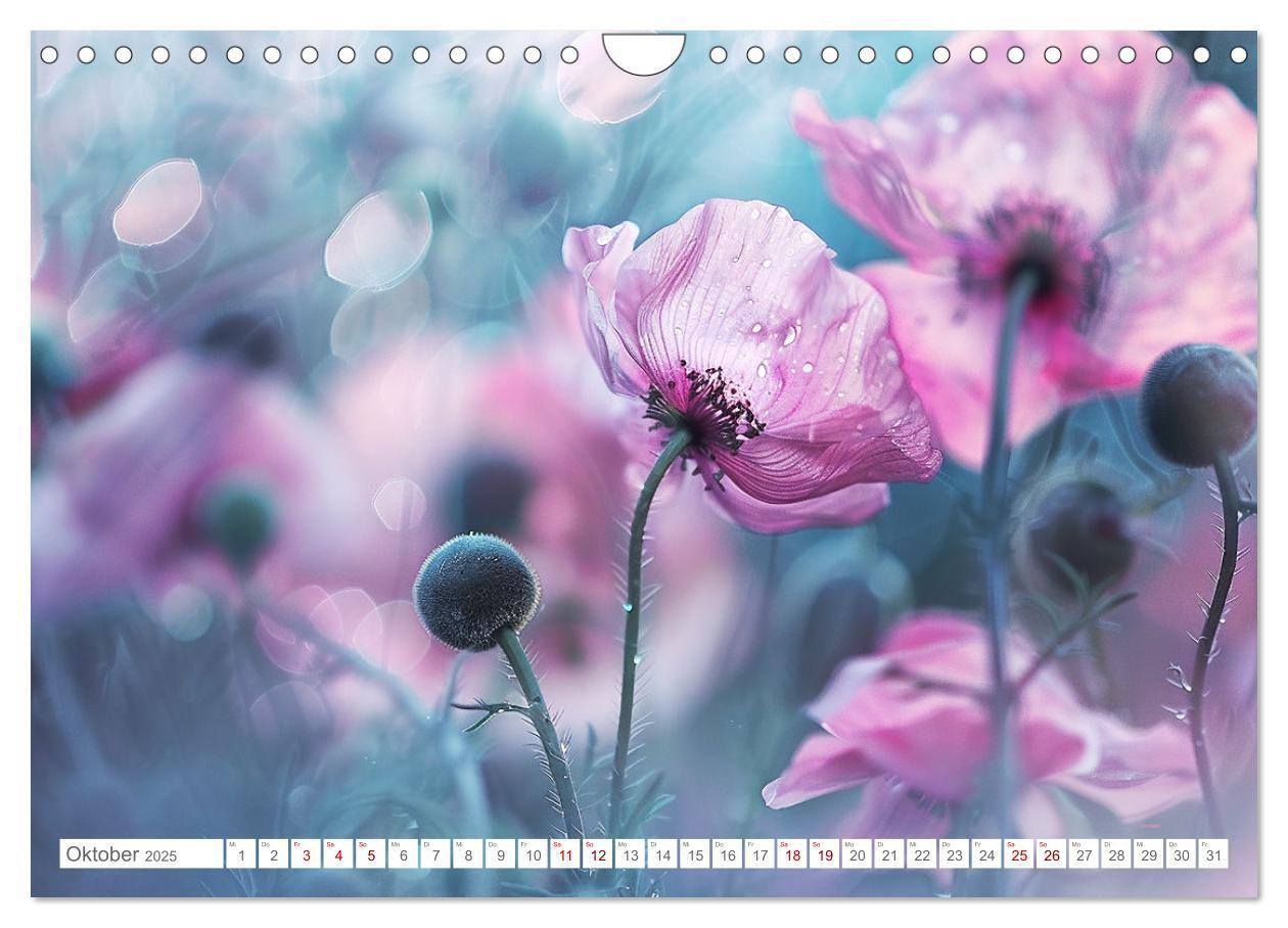 Bild: 9783383814549 | Bezaubernde Mohnblumen (Wandkalender 2025 DIN A4 quer), CALVENDO...