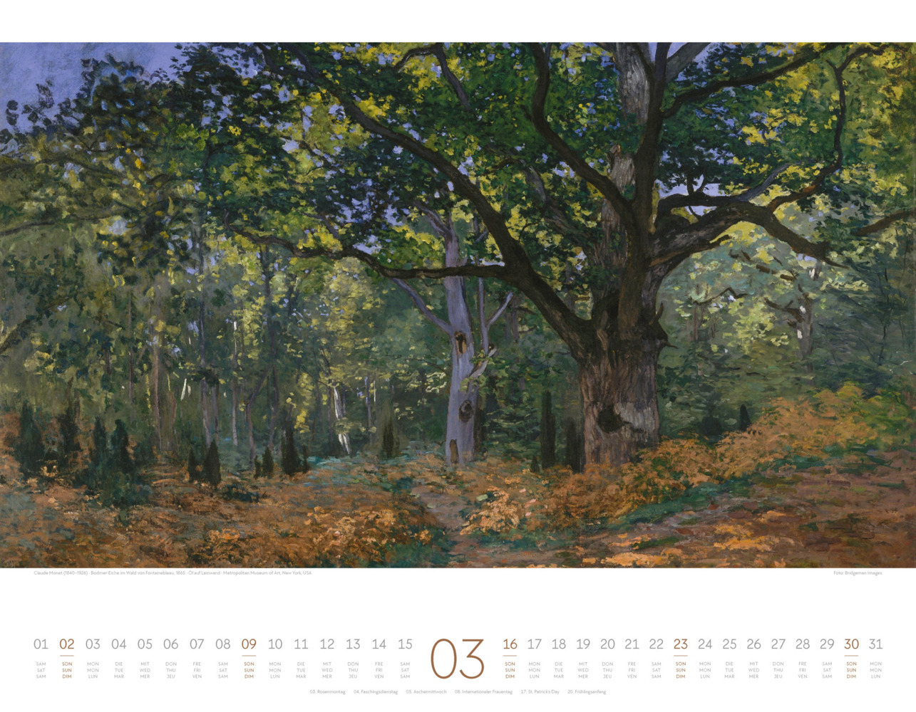 Bild: 9783838425559 | Kunstwerk Wald Kalender 2025 | Ackermann Kunstverlag | Kalender | 2025