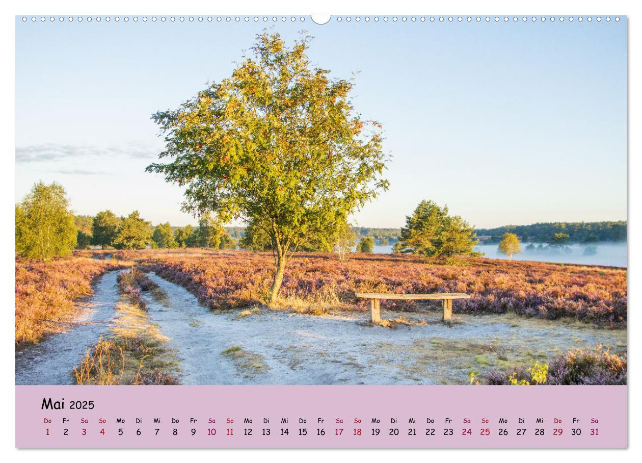 Bild: 9783435024810 | Lüneburger Heide Wege (hochwertiger Premium Wandkalender 2025 DIN...