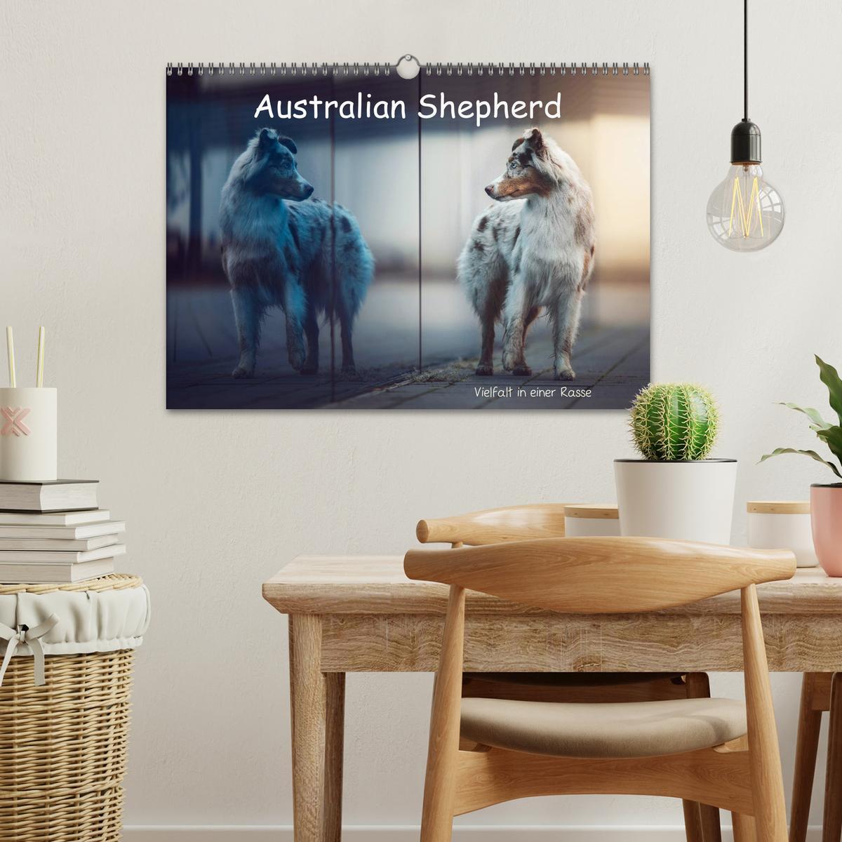 Bild: 9783435233151 | Australian Shepherd - Vielfalt in einer Rasse (Wandkalender 2025...