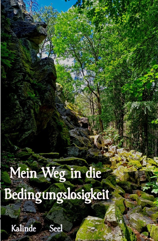 Cover: 9783818753672 | Bedingungslosigkeit leben | Kalinde Seel | Taschenbuch | 96 S. | 2024