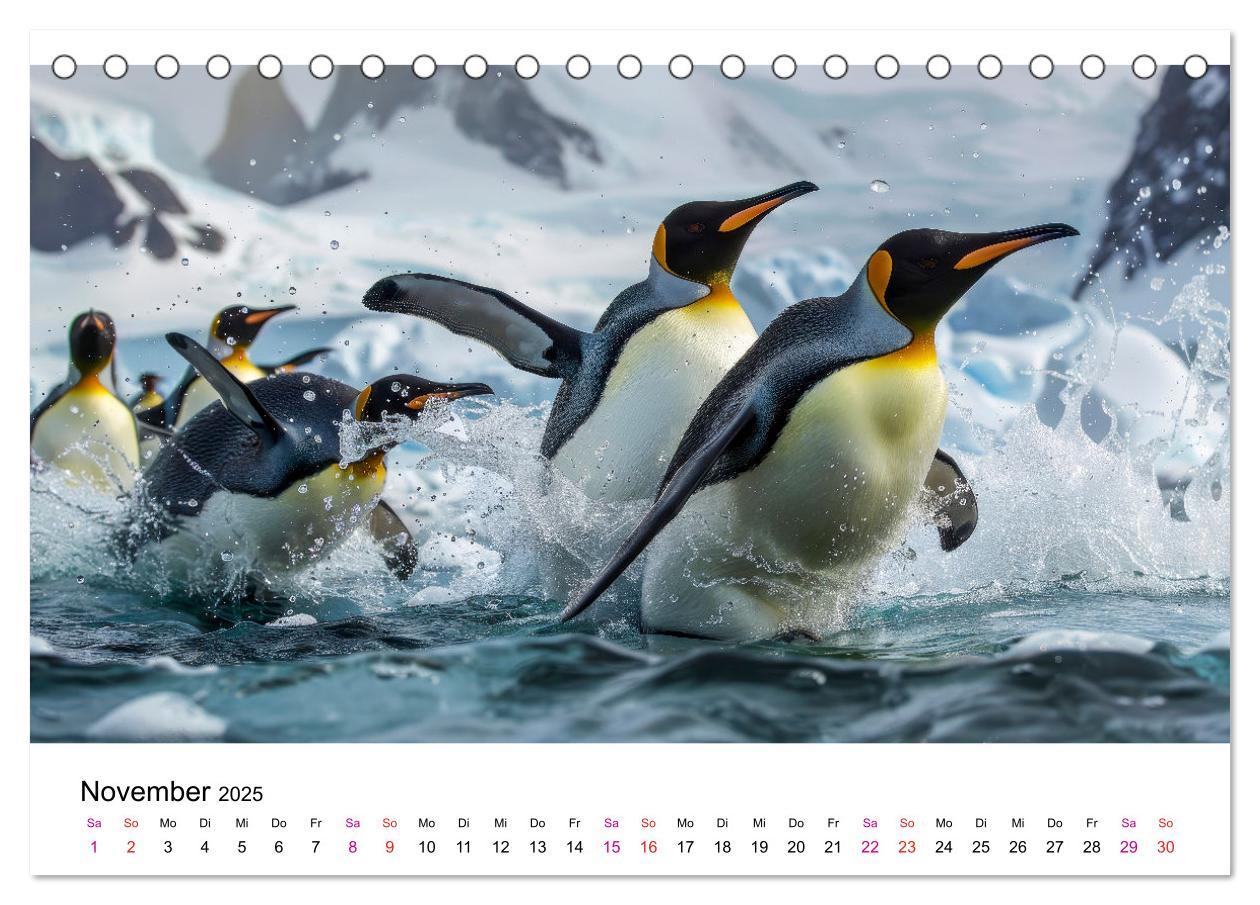 Bild: 9783457164471 | Maritim pur - Pinguine (Tischkalender 2025 DIN A5 quer), CALVENDO...