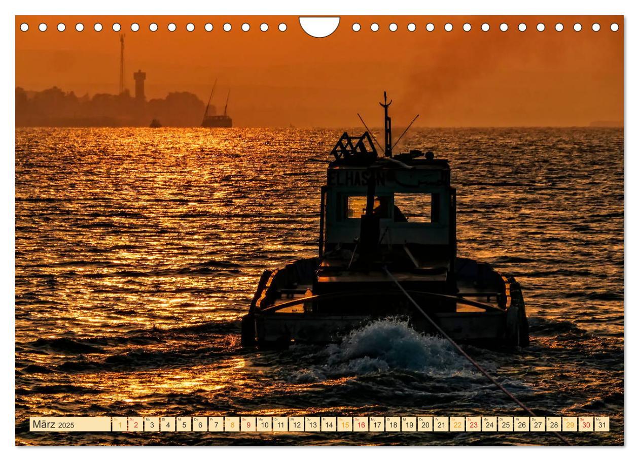 Bild: 9783435278664 | Schlepper - bärenstarke Arbeitstiere (Wandkalender 2025 DIN A4...