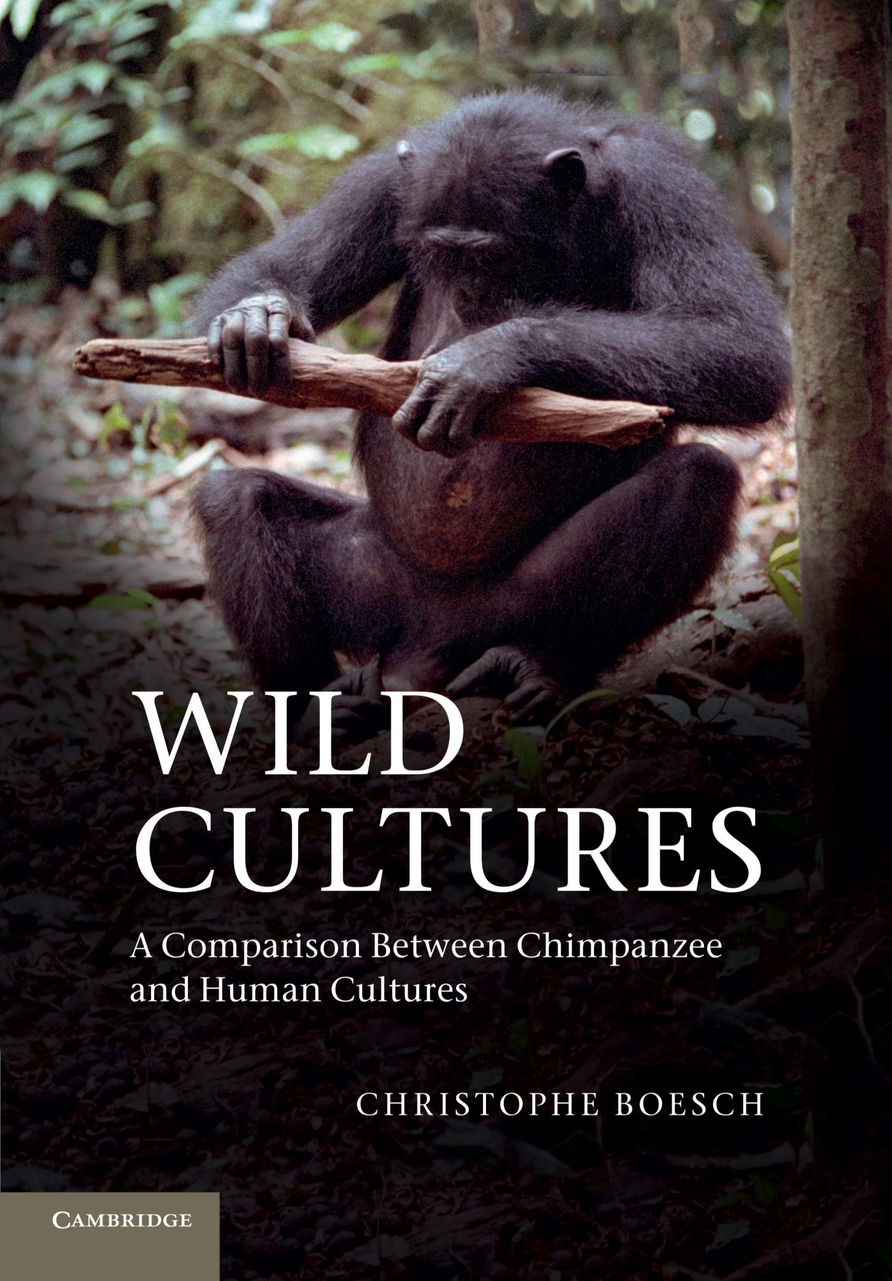 Cover: 9781107689152 | Wild Cultures | A Comparison Between Chimpanzee and Human Cultures