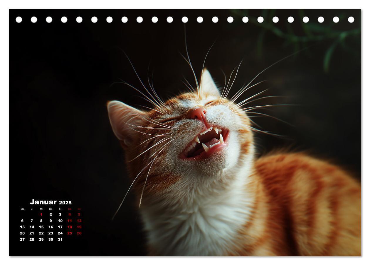 Bild: 9783457202074 | Auch Katzen lachen gern (Tischkalender 2025 DIN A5 quer), CALVENDO...