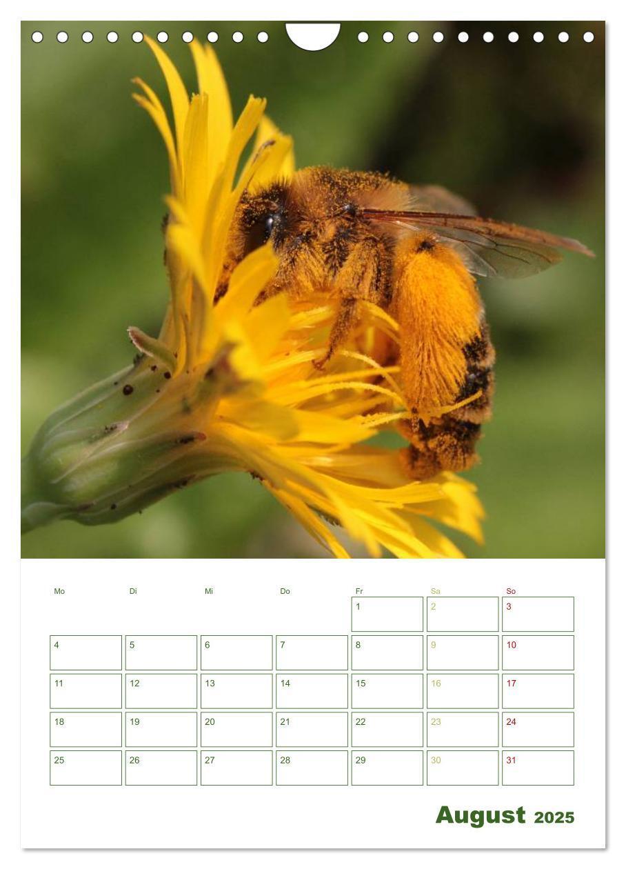 Bild: 9783457030813 | Bienen-Terminplaner 2025 (Wandkalender 2025 DIN A4 hoch), CALVENDO...