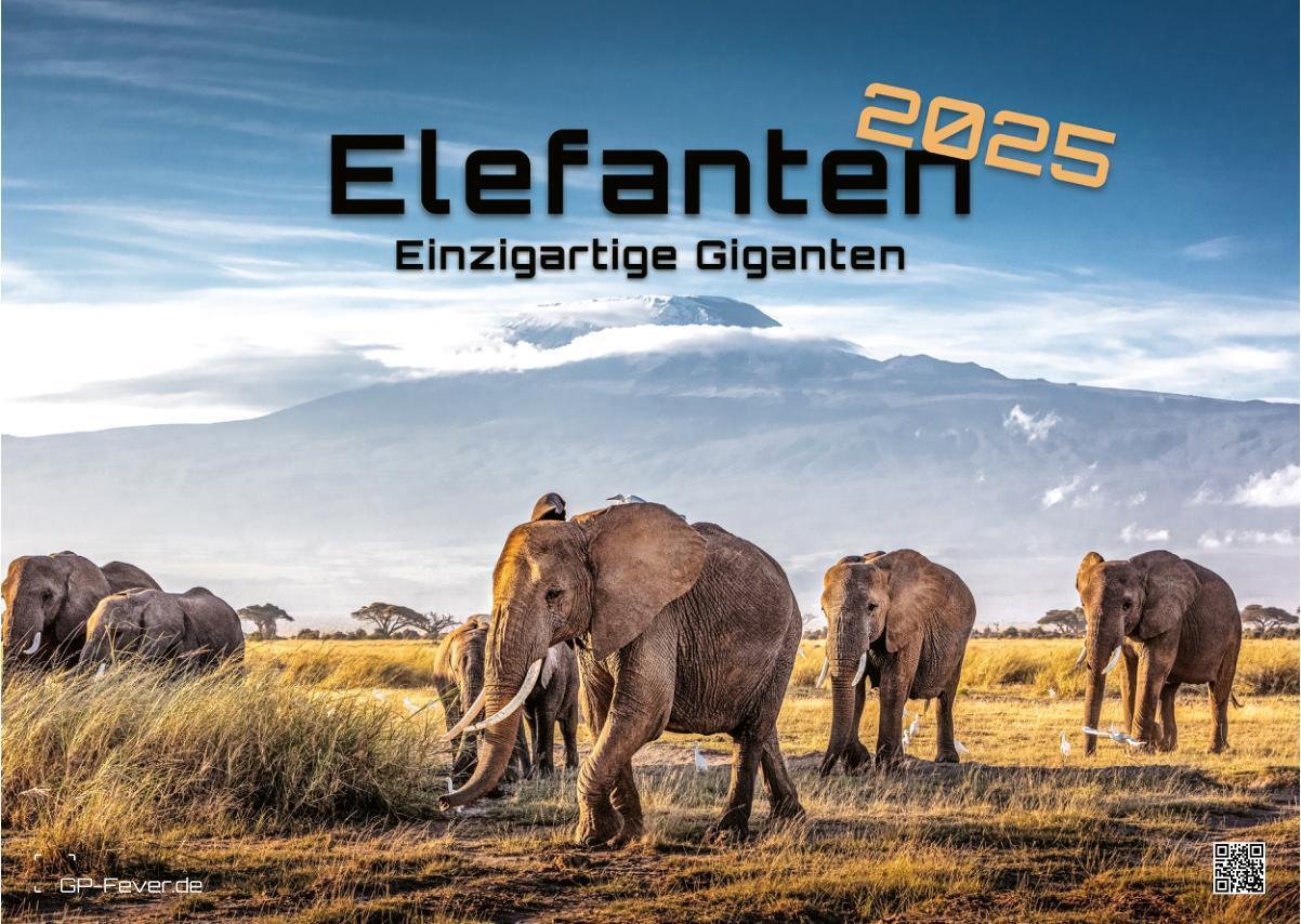 Cover: 9783986733933 | Elefanten - einzigartige Giganten - 2025 - Kalender DIN A3 | de | 2025