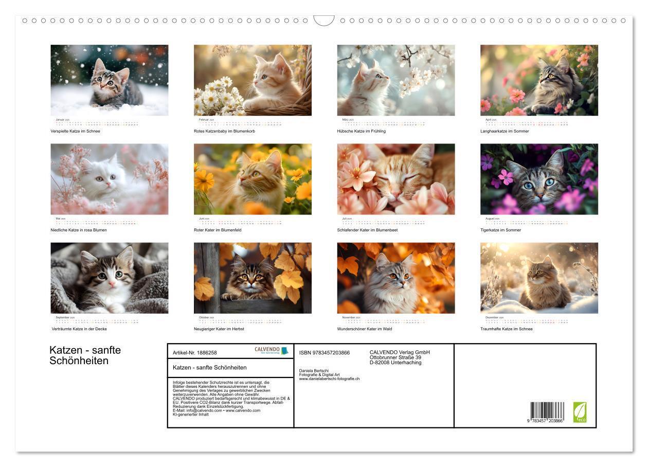 Bild: 9783457203866 | Katzen - sanfte Schönheiten (Wandkalender 2025 DIN A2 quer),...